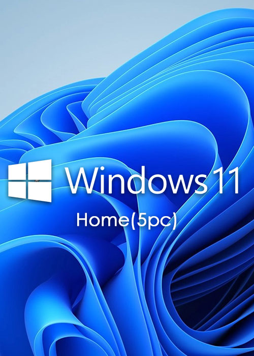 MS Windows 11 Home OEM CD-KEY GLOBAL(5PC)（EDM）