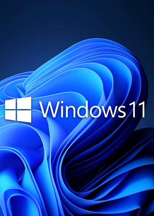 Windows 11 Pro OEM CD-KEY GLOBAL-Lifetime（EDM）